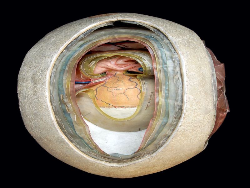 Anatomie clastique_3